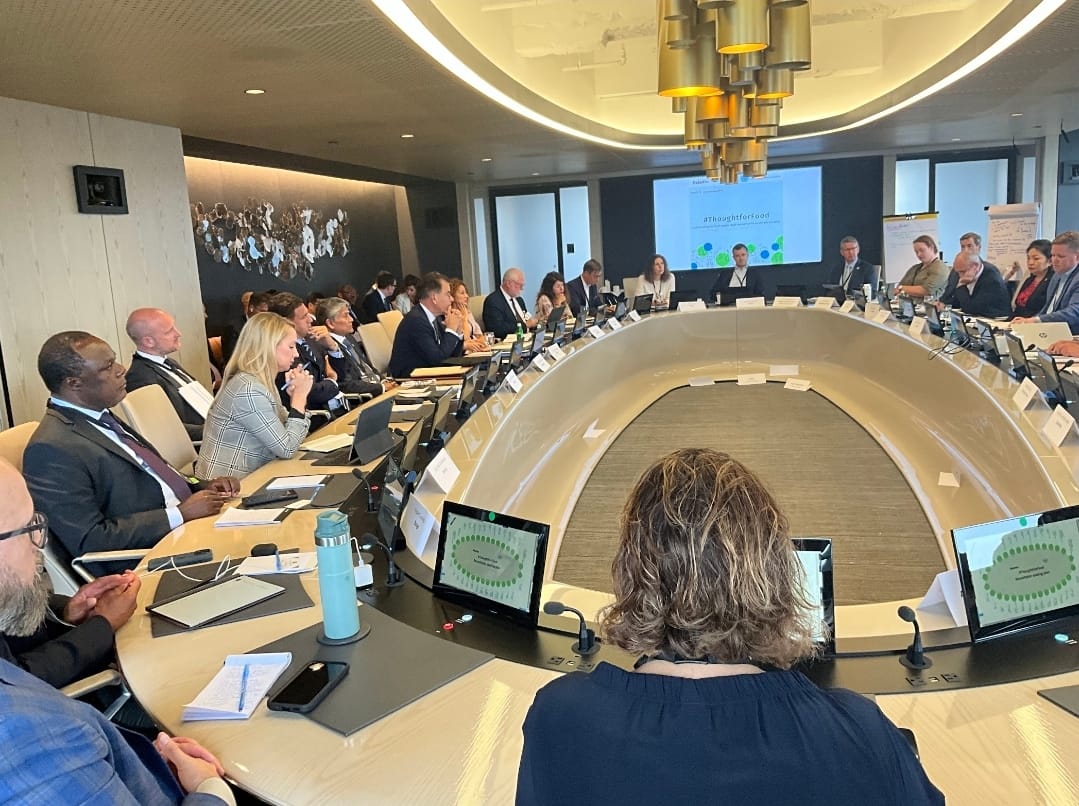 The UN conference on Sustainable food systems for industrial growth