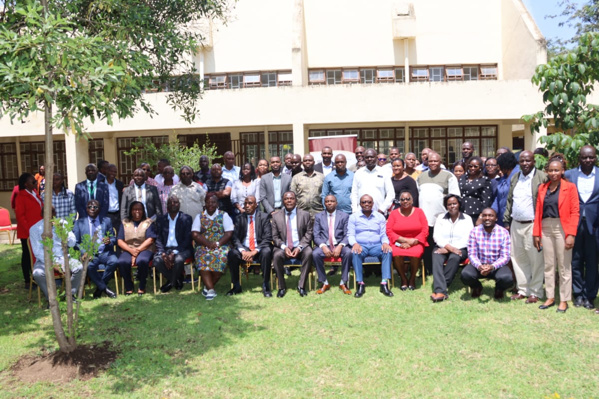 IMPLEMENTATION GUIDELINES AND POLICY FRAMEWORK FOR COUNTY AGGREGATION & INDUSTRIAL PARKS(CAIPs) ROLL-OUT 