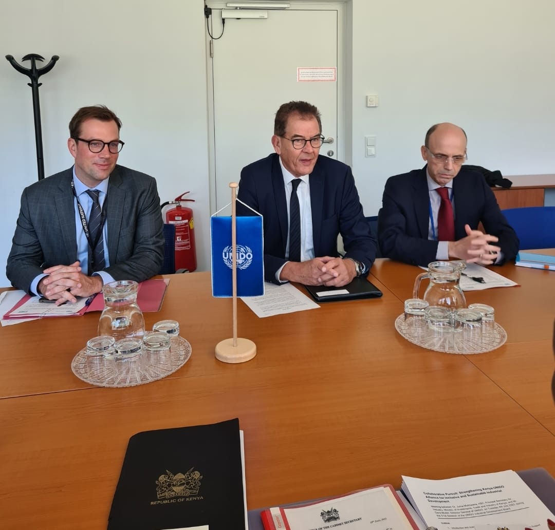 Kenya seek's UNIDO's expertise to grow industries in the counties