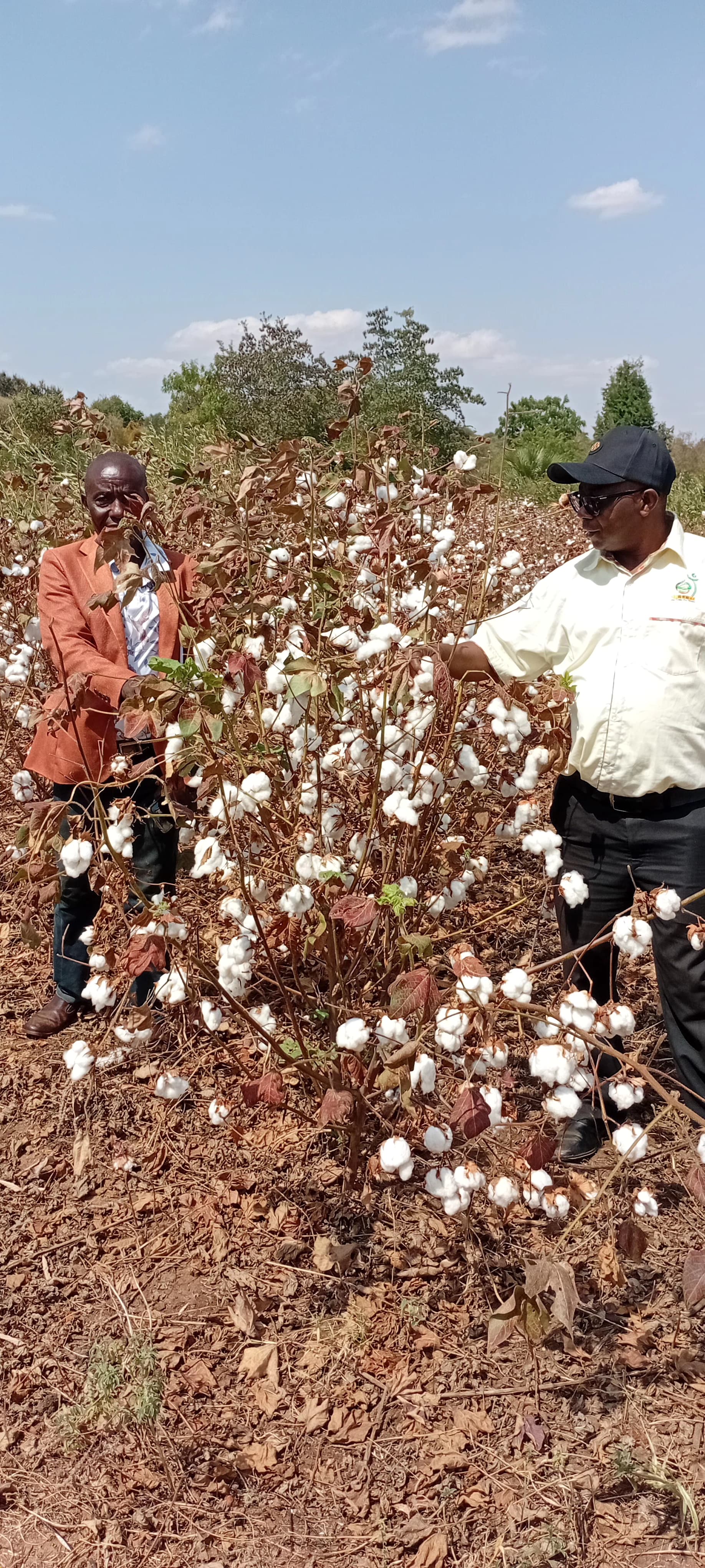 Expanding jobs creation through cotton value addition
