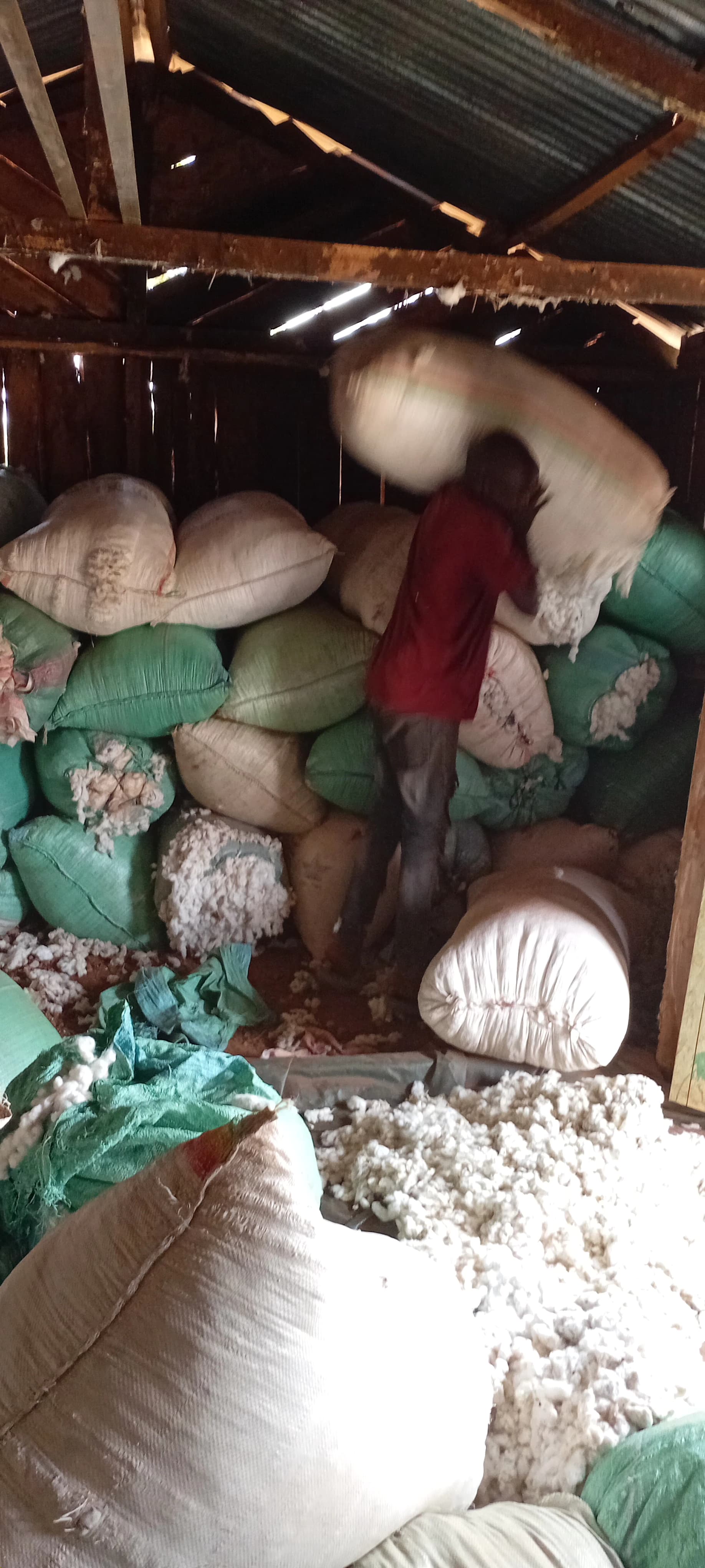 Expanding jobs creation through cotton value addition