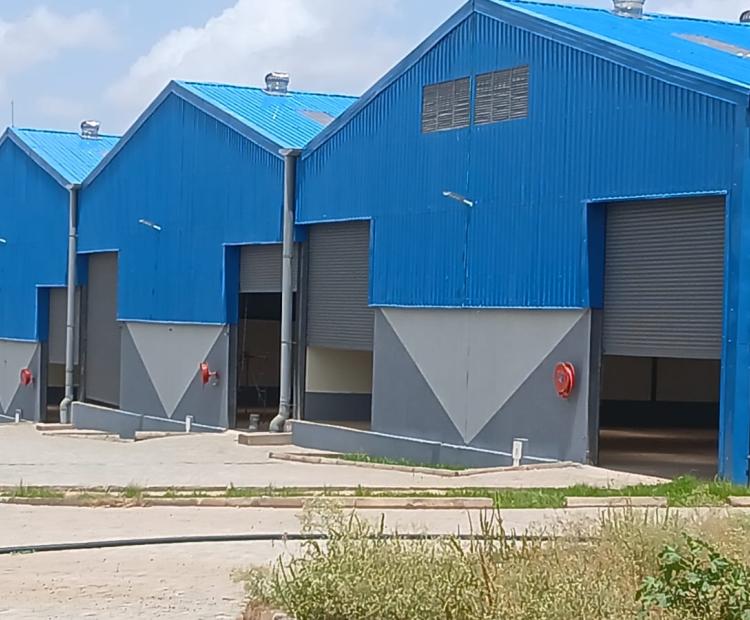 CAIPs Transform Central Kenya into a New Agro-Industrial Powerhouse