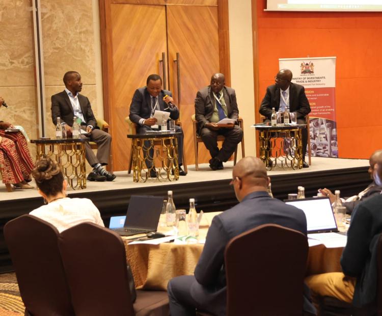 Energy-Manufacturing Nexus Takes Centre Stage at Industrialization Forum
